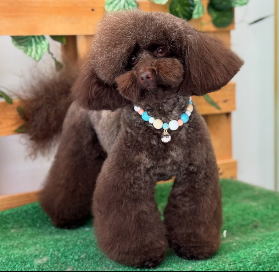 Captura desde 2025-12-22 12-49-21