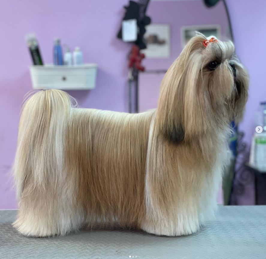 Captura desde 2025-12-22 12-51-27