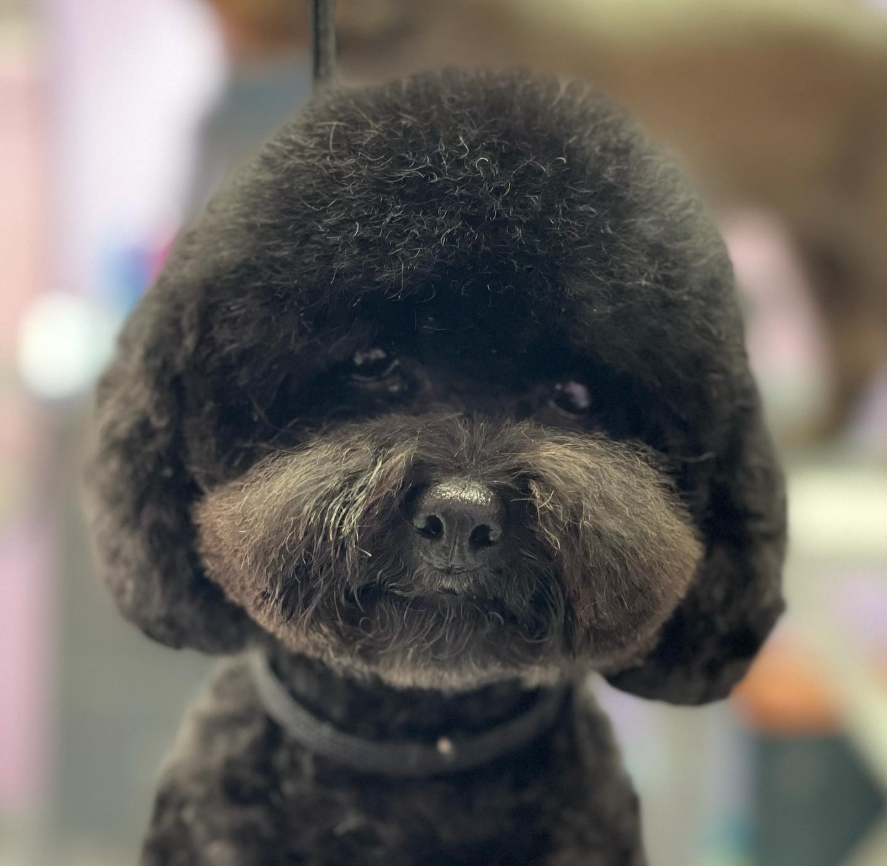 Captura desde 2025-12-22 12-51-35