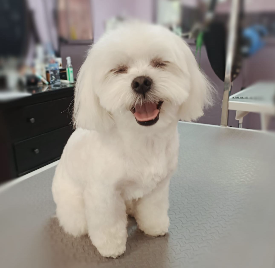 Captura desde 2025-12-22 12-51-44